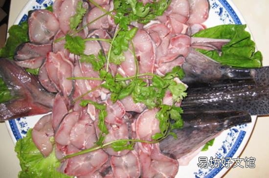 鲨鱼食用禁忌