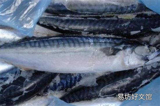 青占鱼的禁忌