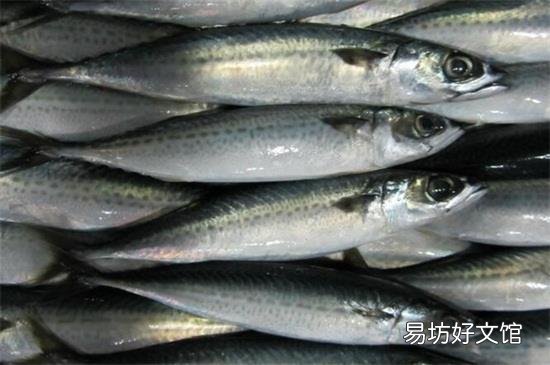 青占鱼的禁忌