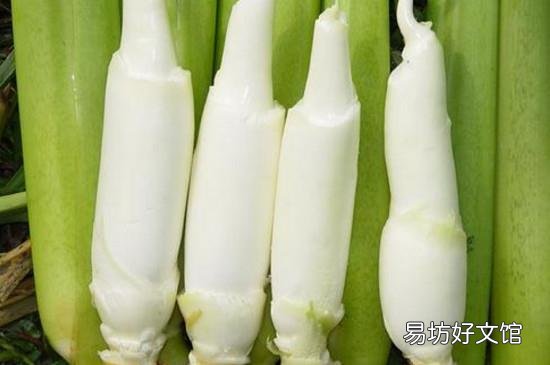 茭白需要去皮吗
