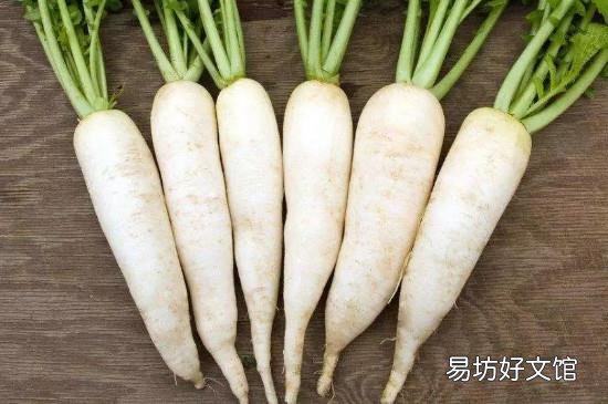 解酒护肝的食物