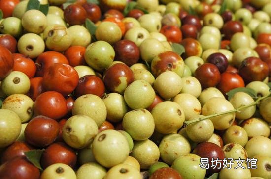 酸枣糕的坏处