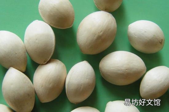 新鲜的银杏果怎么处理