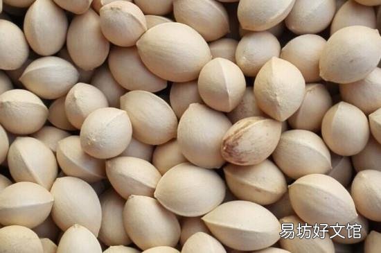 白果一天最多吃几颗