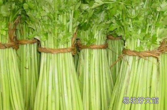 芹菜怎样长时间储存