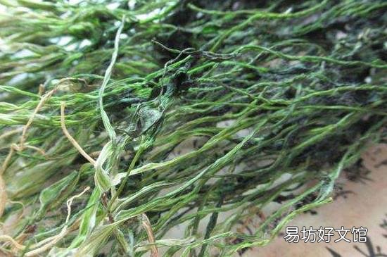香菜怎么长时间储存