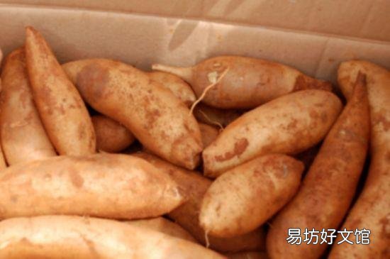 雪莲果为什么会裂开