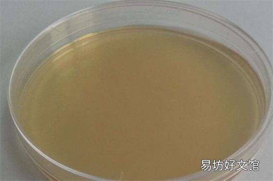 酪蛋白对人有害吗