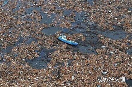 重庆垃圾分类标准