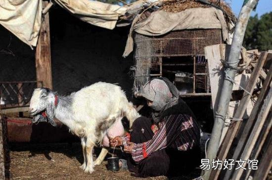羊奶冷冻40多天能喝吗