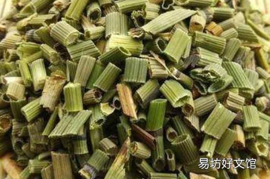 节节草什么人不能吃