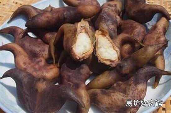 菱角的禁忌人群
