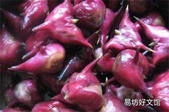 菱角的禁忌人群
