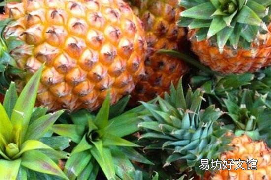 菠萝是发物吗