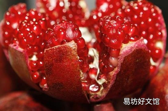 石榴能不能和鱼一起吃