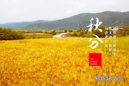 秋分是几月几日2019