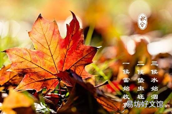 秋分是几月几日2019