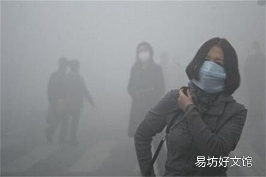 空气污染物分为哪两类