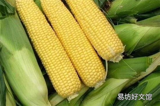 玉米核坚果壳属于什么垃圾