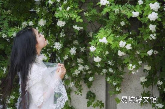 七里香禁忌