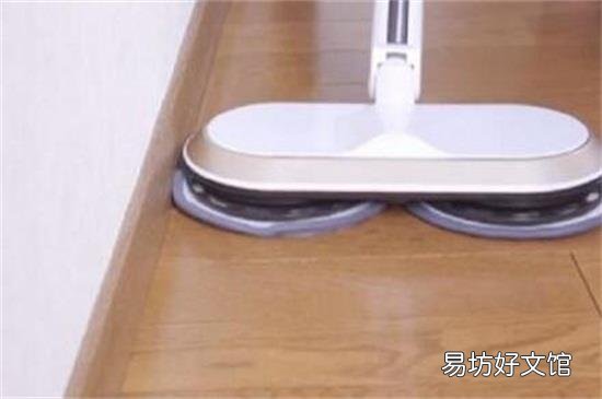 蒸汽拖把能杀跳蚤蛋吗