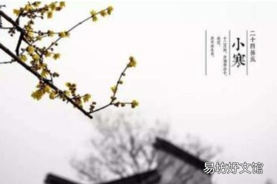 小寒是什么时候