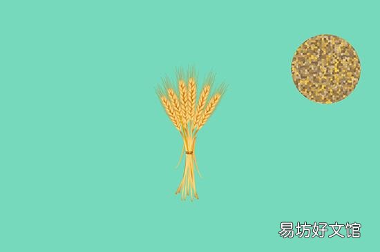 高纤维食物有哪些