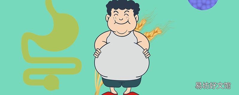 高纤维食物有哪些