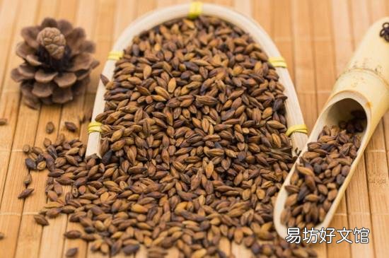 大麦茶10克大概多少粒