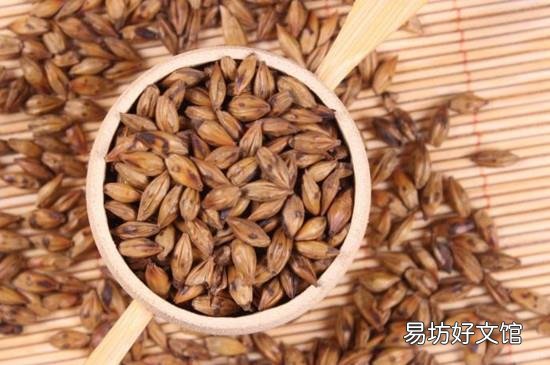 大麦茶泡多少水