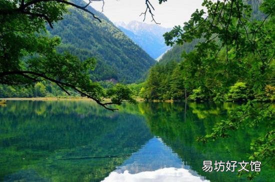 追女孩的浪漫小花招