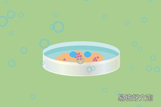 atp是什么