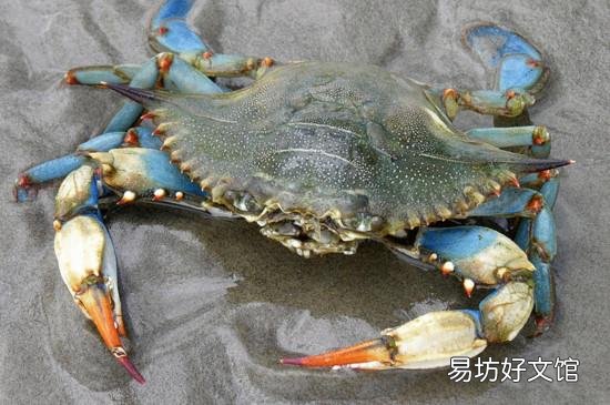 死海蟹蒸多久