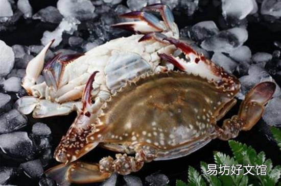 活梭子蟹怎么保存
