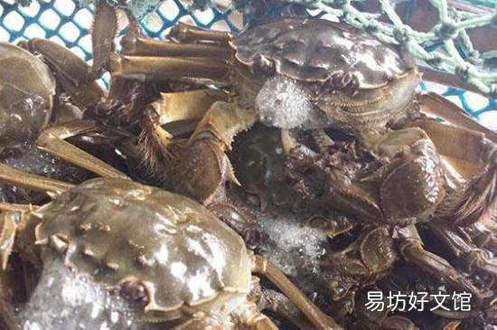 阳澄湖大闸蟹开湖时间2019