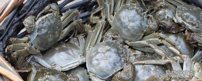 阳澄湖大闸蟹开湖时间2019