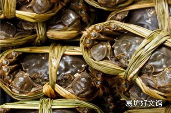 湖蟹是不是大闸蟹