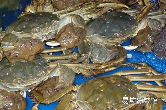 江蟹蒸多久