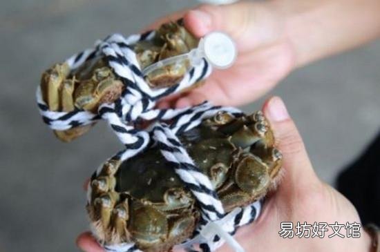 螃蟹可以带上飞机吗