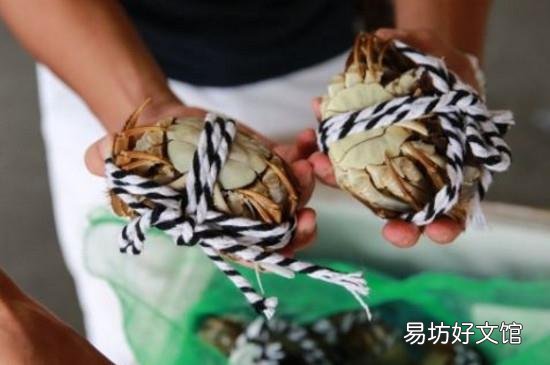 螃蟹可以带上飞机吗