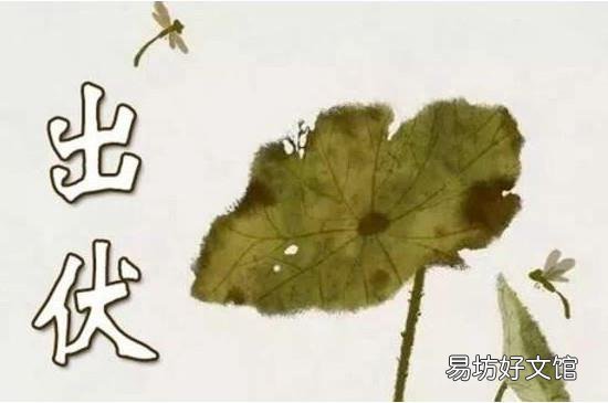 出伏是哪天