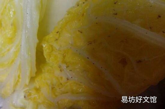 娃娃菜上的黑点点是什么
