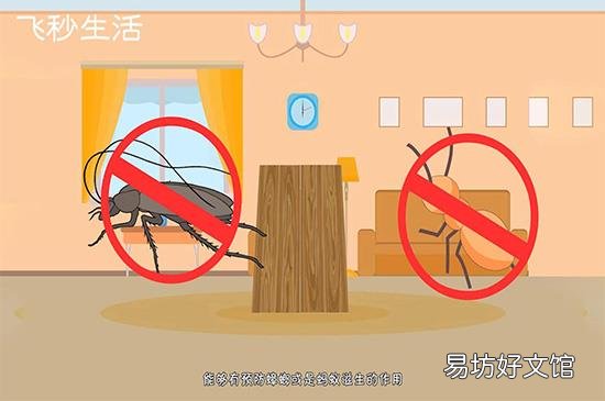 衣服消毒液可以杀死蟑螂吗