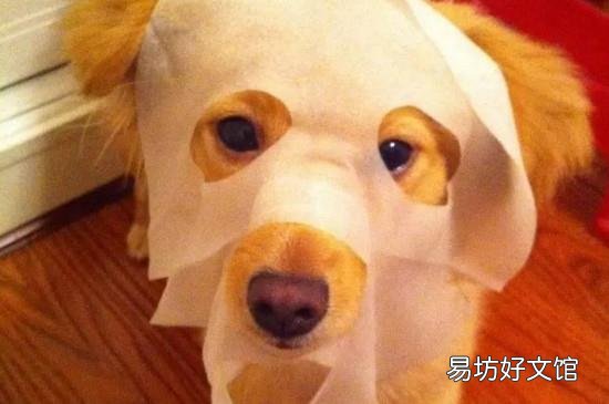 白天敷面膜最佳时间