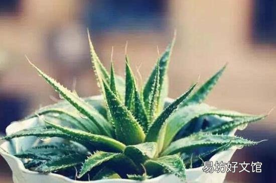 中药渣和土发酵要多久?