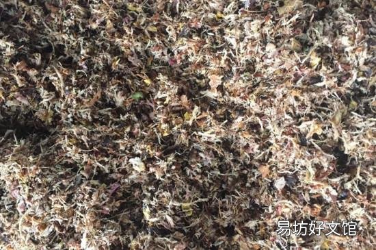 中药渣可以做花肥吗