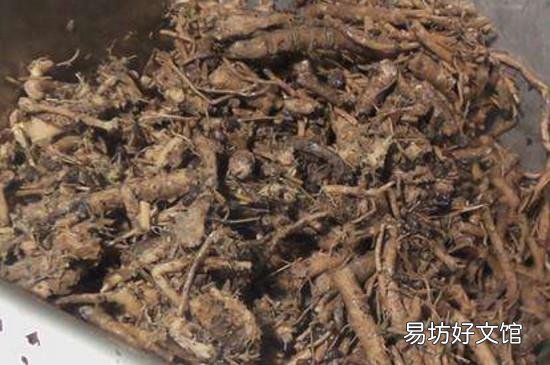中药渣可以做花肥吗