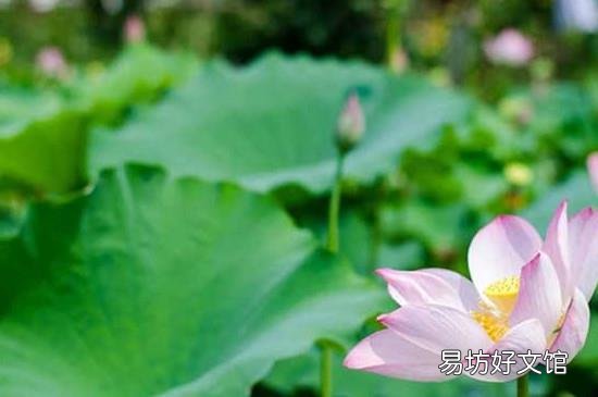 大暑是几月几日