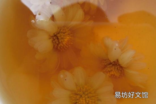 菊花茶能去眼袋吗