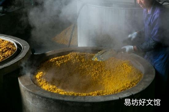 酵母能做酸奶吗